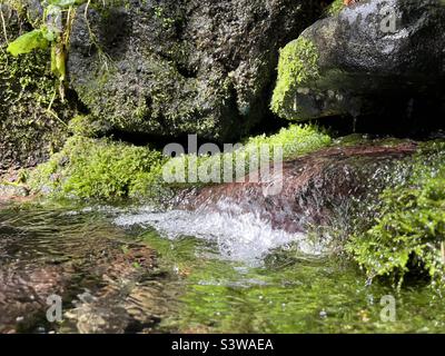 Fonte di acqua di sorgente di montagna fresca Foto Stock