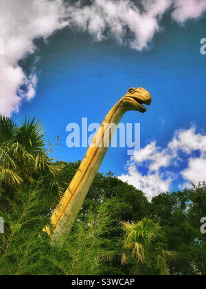 Il lungo collo e la piccola testa torri sopra come un dinosauro sauropod guarda fuori tra cespugli alti e piccoli alberi. Ci sono probabilmente 80 vertebre in quel collo! Foto ©️ COLIN HOSKINS. Foto Stock