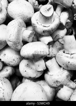 Funghi freschi sciolti in un mucchio di prodotti deliziosi. Foto Stock