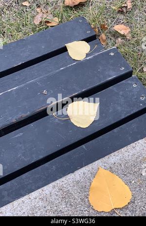 Tre foglie d'oro caduto su gradini in cemento e legno Foto Stock