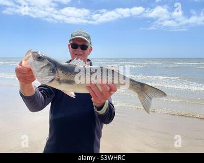 Pescatore che tiene un basso appena pescato di circa 5lbs dalla costa gallese nel mese di maggio. Foto Stock