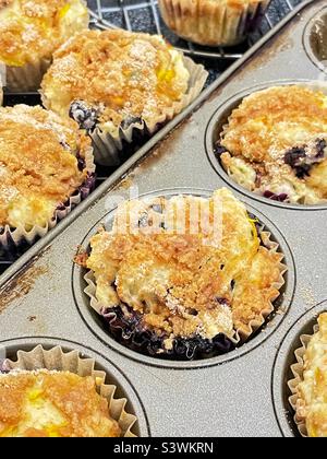 Muffin ai mirtilli appena sfornati nella teglia per muffin e su una griglia di raffreddamento. Foto Stock