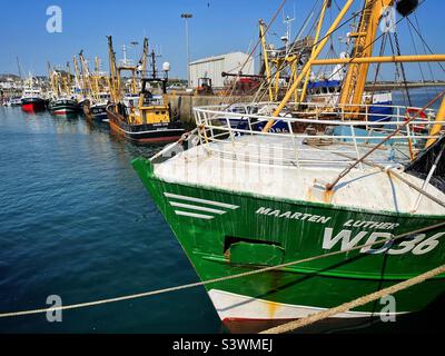 Barche da pesca ormeggiate a Kilmore Quay, Contea di Wexford, Repubblica d'Irlanda, agosto. Foto Stock