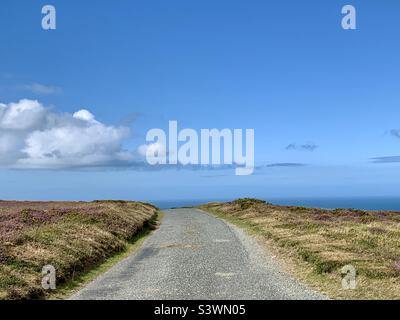 Strada verso il nulla. Strada di campagna che conduce all'orizzonte del cielo blu circondato da brughiere e brughiere Foto Stock