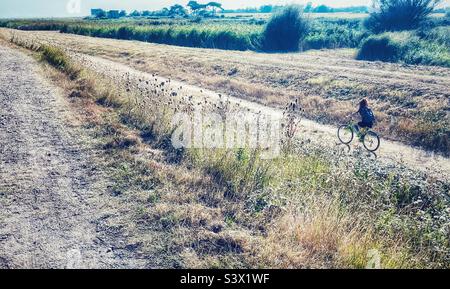 Un percorso ciclistico con WW2 sfondo della torre di osservazione a East Lane, Bawdsey, Suffolk Coast, Inghilterra, Regno Unito. Foto Stock