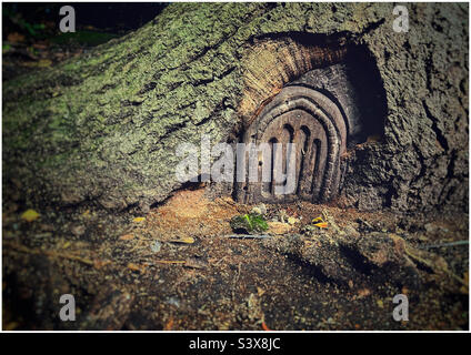 Piccola porta di legno costruita nel tronco di un albero nel bosco di Grove, Felixstowe Foto Stock