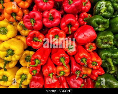 Peperoni rossi, verdi e gialli. Foto Stock
