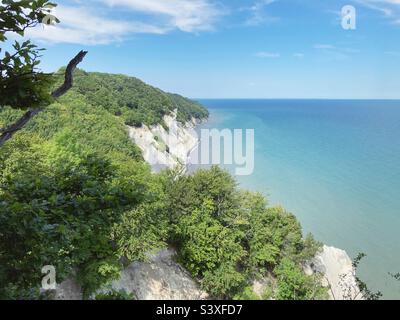Le bianche scogliere di gesso di Mons Klint in estate, Danimarca Foto Stock