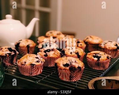 Muffin ai mirtilli con teiera Foto Stock