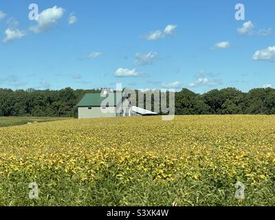 Fattoria di campagna vivere Foto Stock