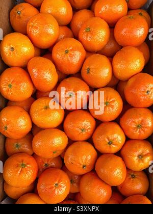 Tangerini in mostra su una bancarella del mercato. Nessuna gente. Foto Stock