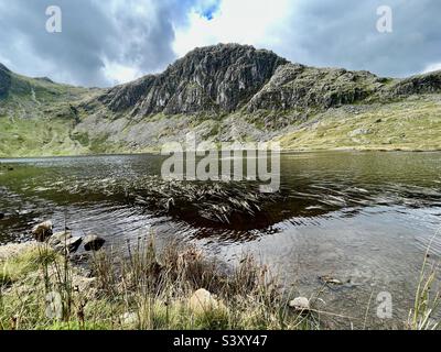 Pond erbaccia che riflette Pavey Ark in Stickle Tarn, il Distretto del Lago Foto Stock