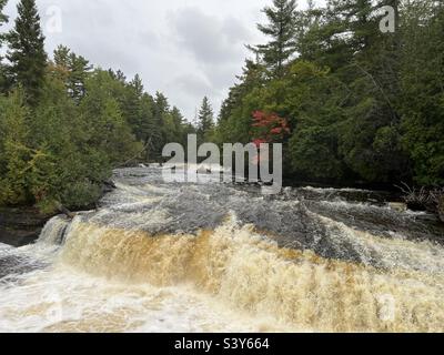 Lo splendido Tahquamenon River Falls state Park nel Michigan è possibile passeggiare su sentieri splendidamente curati per accedere alle Upper Falls o alle Lower Falls. Le cascate marroni scorrono nel Lago superiore. Foto Stock