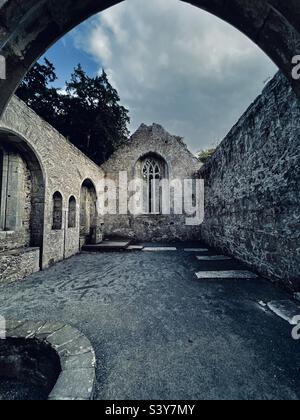 Abbandonate rovine decadenti di Muckross Abbey, contea Kerry, Killarney, Irlanda. Foto Stock