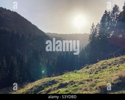 Le Alpi Allgäu in una serata d'autunno poco prima del tramonto, una fitta pineta con il sole basso che splende attraverso l'aria nebulosa Foto Stock