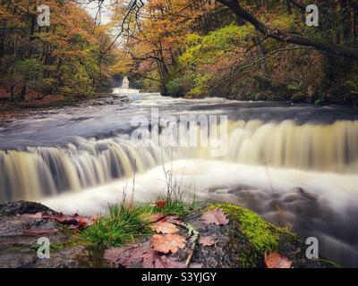 Horseshoe cade sul Nedd Fechan, vale of Neath, Brecon Beacons, Galles, autunno. Foto Stock