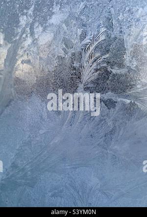 Frost piuma su una finestra Foto Stock