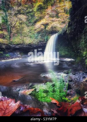 Sgwd Gwladus (la signora cade) cascata sul fiume Pyrddin, vale di Neath, autunno. Foto Stock