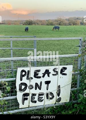 Please Don't Feed - sign on a gate with horse in the field Foto Stock