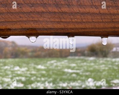 gocce congelate appese a un pannello di legno marrone Foto Stock