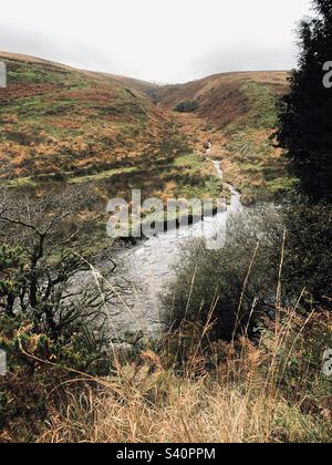 Il fiume Barle scorre attraverso la selvaggia campagna inglese vicino a Simonsbath, in autunno (autunno), Exmoor, Inghilterra, Regno Unito Foto Stock