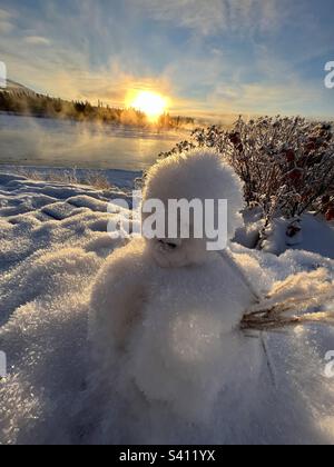 Spaventoso pupazzo di neve con brina di bue al sole lungo il fiume. Foto Stock