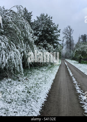 Strada di campagna attraverso la foresta coperta di neve Foto Stock