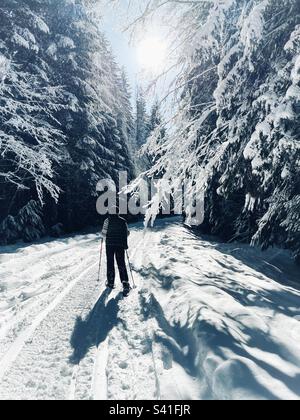 Racchette da neve soleggiate nel paese delle meraviglie d'inverno Foto Stock