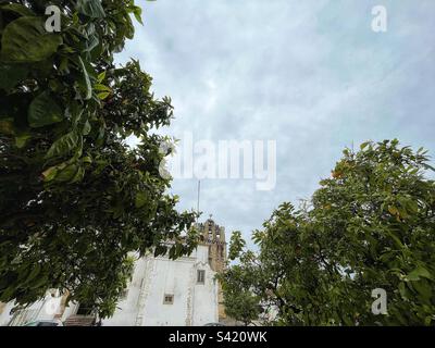 Sé de Faro - la Cattedrale di Faro - circondata da aranci nella piazza della città Largo da sé una scena portoghese la cattedrale è dedicata alla Beata Vergine Maria e ha un campanile mostrato Foto Stock