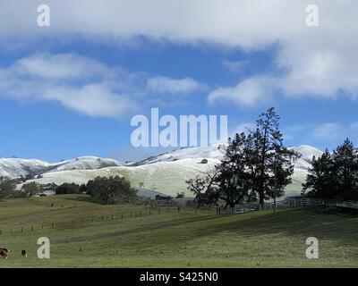 Nessuna collina coperta nel mese di febbraio. – Carmel Valley, California Foto Stock