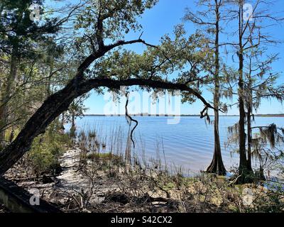 Mobile Bay dal Blakeley state Park a Spanish Fort, Alabama Foto Stock