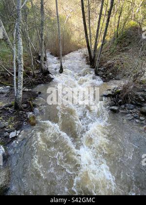 Il torrente Garza's Creek è in fase di alluvione, dopo un suggestivo fiume che scende per molte piogge nella Carmel Valley, California Foto Stock