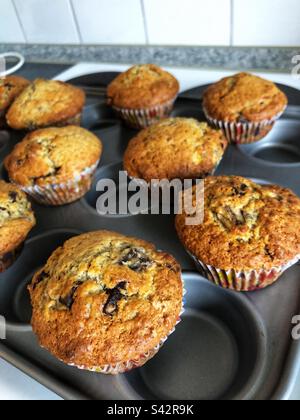 Muffin fatti in casa Choc chip appena sfornati che si raffreddano sul piano cottura Foto Stock