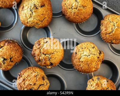 Muffin fatti in casa Choc chip appena sfornati che si raffreddano sul piano cottura Foto Stock