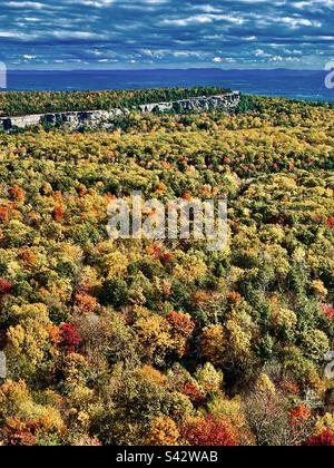 Paesaggio autunnale nel nord-est. Colori e fogliame eccezionali Foto Stock