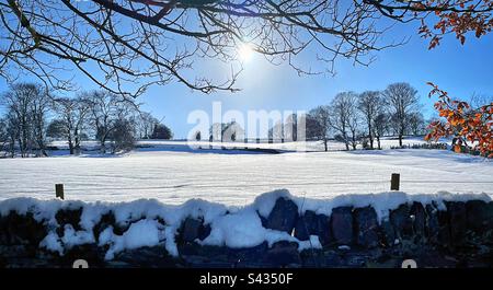 “Campi di neve” un campo agricolo immerso nella luce solare invernale dopo una notte di neve pesante. Foto Stock