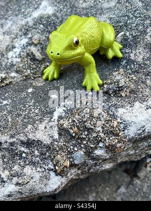 La rana giocattolo si siede sulla roccia. Include lo spazio di stampa. Foto Stock