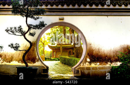 Porta d'ingresso alle pareti in un tradizionale giardino cinese al parco cittadino di Kowloon a Hong Kong Foto Stock