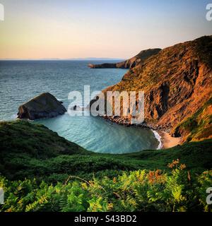 Una spiaggia remota si può solo camminare al tramonto su una sezione drammatica del popolare Ceredigion Coast Path appena a sud di Llangrannog nel Galles occidentale Foto Stock