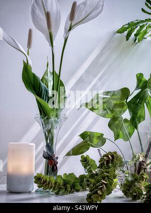Disposizione di diffusore di aromaterapia, tre fiori di giglio di pace in vaso d'annata, rami verdi su tavolo bianco contro muro bianco, ombra con foglie di monstera deliziosa. Foto Stock