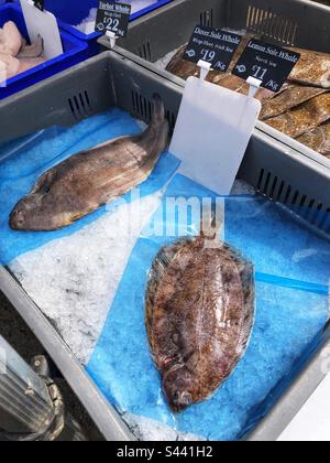 Sole di limone fresco e Sole di dover in vendita presso il mercato agricolo locale Foto Stock