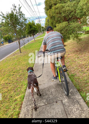 Uomo in bicicletta con il suo cane Foto Stock