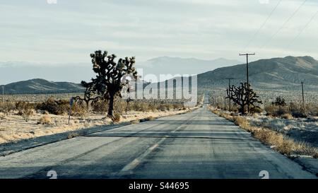Deserted highway leading to distant mountains in California with Joshua Trees at the side of the road Foto Stock