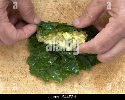 Mani di nonna preparazione di Sarmale, rumeno Chard Rolls, ripieno di riso e verdure Foto Stock