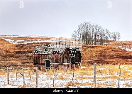 Antico granaio sulle praterie dell'Alberta. Tempo battuto, usurato, stanco, rotto Foto Stock