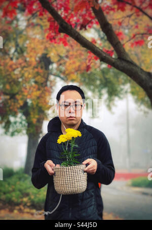 Ritratto del giovane asiatico in occhiali e auricolari, tenendo in vaso una pianta da fiore di crisantemo giallo in un cesto sotto gli alberi con il colore delle foglie autunnali in una mattinata nebbiosa. Foto Stock