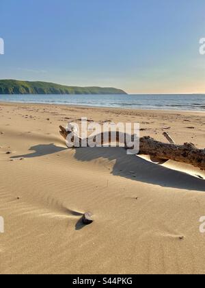 Un pezzo di driftwood si trova sulla sabbia nel caldo sole estivo del pomeriggio vicino al mare sulla spiaggia di Woolacombe, Devon, Inghilterra Foto Stock