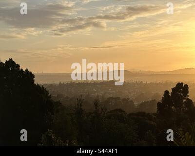 Lo skyline di Auckland, Nuova Zelanda, con il cielo arancione e gli alberi in primo piano Foto Stock