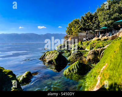 Muschio che cresce sul lago rocce Foto Stock