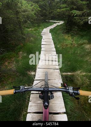 Mountain bike sul lungomare nella foresta di Gisburn, Tosside, Inghilterra. Foto Stock